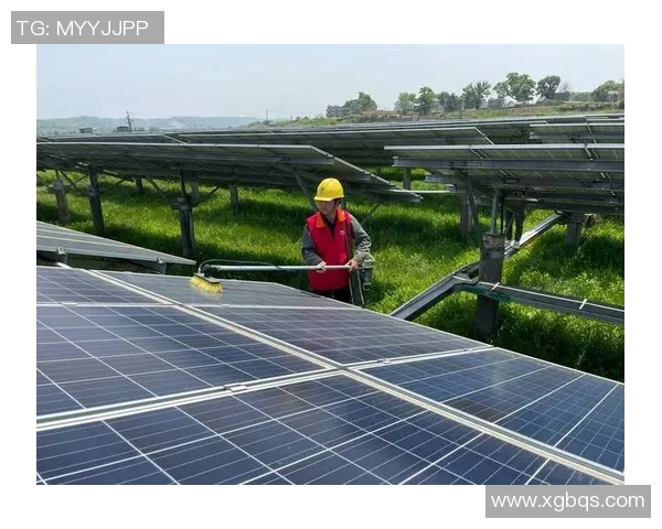 电厂姚明选引领新能源发展新潮流助力绿色未来建设